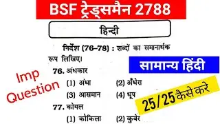BSF Constable ट्रेड्समैन 2022  Hindi || Post 2788 || सामान्य हिंदी 25 Hindi Important Questions
