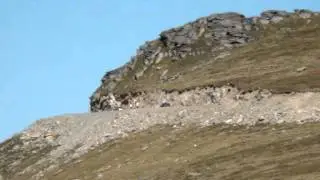 TRANSALPINA  2011   PASUL URDELE   2145m