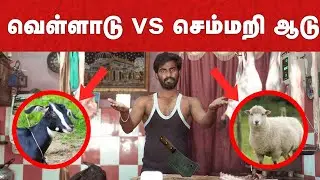 Which Meat is better? | Goat vs Sheep | வெள்ளாட்டுக்கறிக்கும் செம்மறி ஆட்டுக்கறிக்கும் வித்தியாசம்