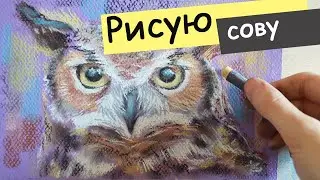 как рисовать сову [сова рисунок] (пастель)