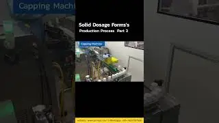 Solid Dosage Forms's Production Process  Part 3 | Capping Machine Working Principle