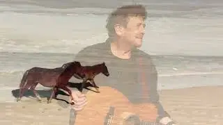 Sable Island Horses
