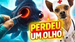 PIRATINHA 🏴‍☠️🐟 - O PEIXE QUE PERDEU UM OLHO… TEM SALVAÇÃO?