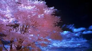 Scorpio November 15th-30th General Tarotscope: New Moon in Earned Income!