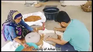 Desi Arhar Dal making process #naturalfarming #farmtotable #sustainablefarming #nutrition