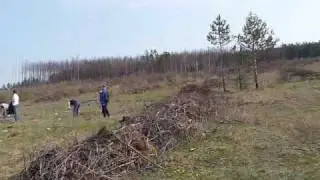 Afforest action in Slivnitsa (Bulgaria) 2009 - part 1