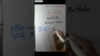 MP PAT Important Topic 2026 | MP PAT Syllabus 2025 | mp pat Important Syllabus 2025 | 💯 Selection🔥