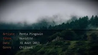 1 - Penta Pingouin - Humidit&eacute;
