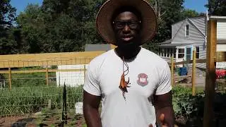June Garden Tour