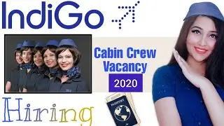 Indigo Hiring Now!!! 😍 Cabin Crew Vacancy 2020/ Fresher's and Experience Can Apply!!!