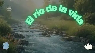 🌊  El rio de la vida 💧
