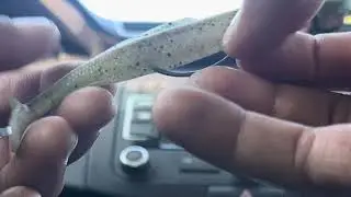 How to Rig a Z-Man Paddle Tail on a Trout Eye Jig Head 