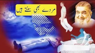 kya Murde Sunte hain? Islam scholar Pakistan Urdu Hindi #islam #islamicscholar