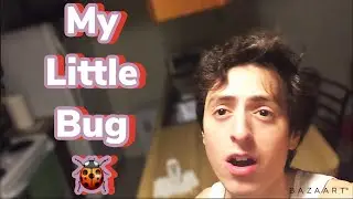 MY LITTLE BUG