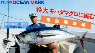 三重県尾鷲沖の特大キハダに『佐野ヒロム』が挑む‼️＜実釣ファイト解説編＞『近日続編公開予定‼️自己記録更新なるか！？』