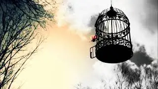 ナイトメア Nightmare - ビルドゥングス・ロマン (Bildungsroman) w/ lyrics