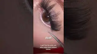 Why Dust Never Reaches Your Eyes 😲