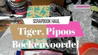 Compras Scrapbook haul | Pipoos, Tiger y Boekenvoordeel | Yoltzin handmade