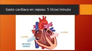 Gasto cardiaco