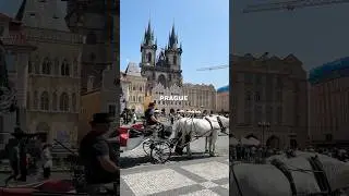 USA vs Prague, Who Wins?