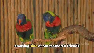 FUNNY BIRDS: Feathered Friends Fun: Top 10 Hilarious Bird Jokes and Riddles...