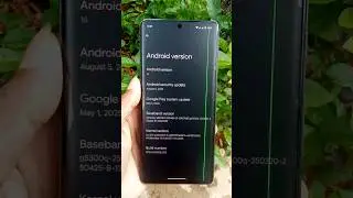 Pixel 7 Pro WARNING! ☠️ Green Line After Android 16 Update?