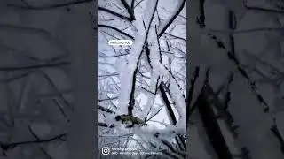 FREEZING FOG 🥶