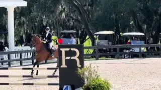 Kylie Martin | Casantos | 1.0 Jumpers