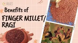 Ragi / Finger Millet ;  Health benefits of finger millet (ragi) #ragi