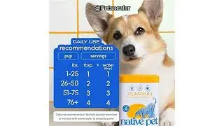 Native Pet Pumpkin for Dogs Review Is This Organic Digestive Supplement Worth It