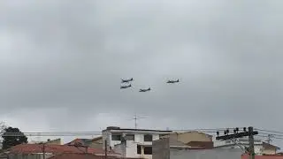 Domingo Aéreo no Campo de Marte 26082018 Esquadrilha da Fumaça.