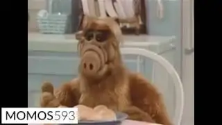 El herpes de Alf y el cachero milagroso @momos593