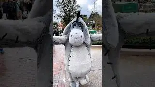 Eeyore hugs at Disneyland Paris