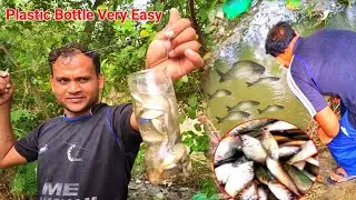 Plastic Bottle Fishing 🎣 Is Very Easy // Plastic Bottle Traps// Very Easy Fishing 🎣
