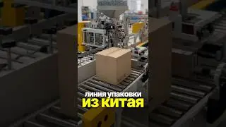 😱 THIS LINE FROM CHINA PACKS 20 TONS PER DAY #china