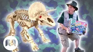 Jurassic World Dinosaur Toy & Easter Egg Hunt | Jurassic Tv | Dinosaurs and Toys | T Rex Family Fun