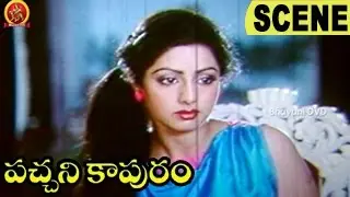jaggayya Insults Krishna - Sentiment Scene | Pachani Kapuram Telugu Movie Scenes