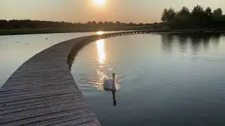 Zuidpolder Barendrecht 2021