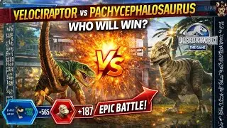 VELOCIRAPTOR vs PACHYCEPHALOSAURUS 😱 | Epic Battle! Who Will Win? | Jurassic World Game