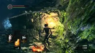 Dark Souls: Darkroot Garden Farming