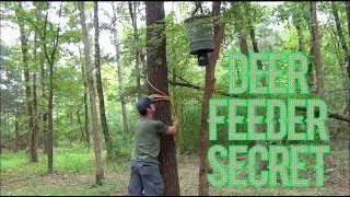 Секрет кормушки для оленей!