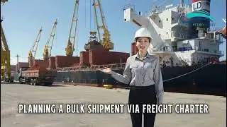 How Freight Charter Delivers Results in Bulk Shipping