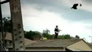 Fuse TV - Rabbit