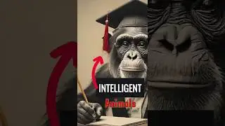 Top 5 intelligence animals caught by camera #facts #animals #top5peakpursuits @AteeqTariq
