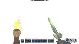 2026/01/20 Hytale Bug