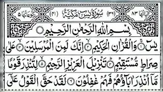 Surah Yasin (Yaseen) سورۃ یٰس  | Beautiful Recitation | Daily Surah Yaseen Tilawat Ep 15