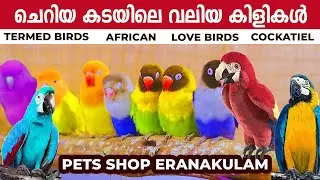 Pets Shop in kerala | Exotic Birds and Pets | kochi | Tamed Birds| Birds farm Malayalam | Good Share