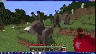First video