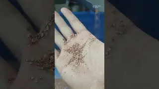 Small cable granulator machine with feeding conveyor