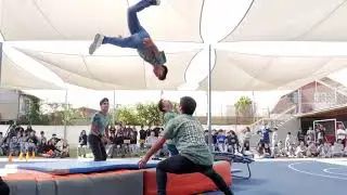 Show Minitramp 2023